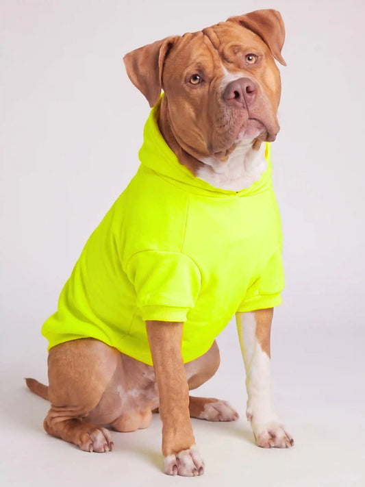 Neon Minimalist Paw Hoodie