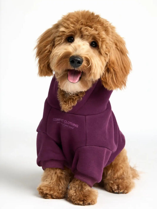 You Matter Paw Hoodie