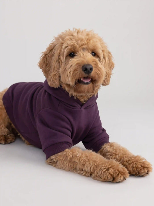 Minimalist Paw Hoodie