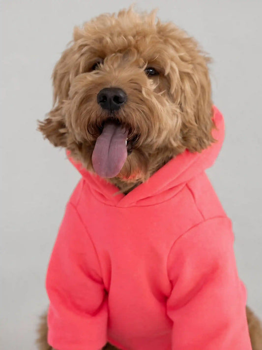 Neon Tranquil Paw Hoodie